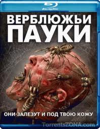 Верблюжьи пауки